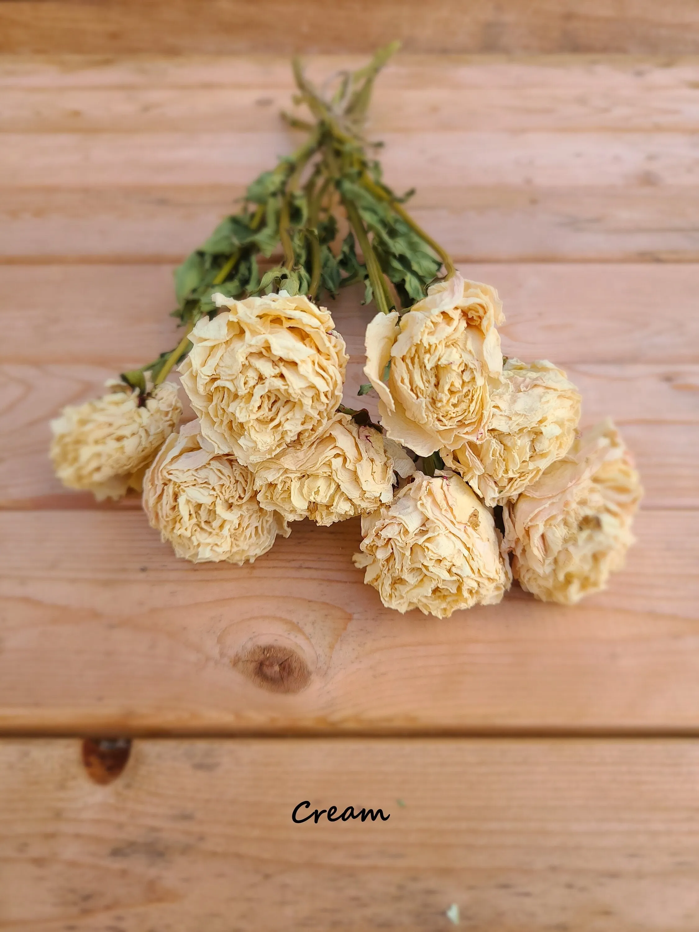 Dried peonies for weddings, dried peony bouquet, dried peony bunch, dried flowers for vase, rose substitute, peonies, pink peony