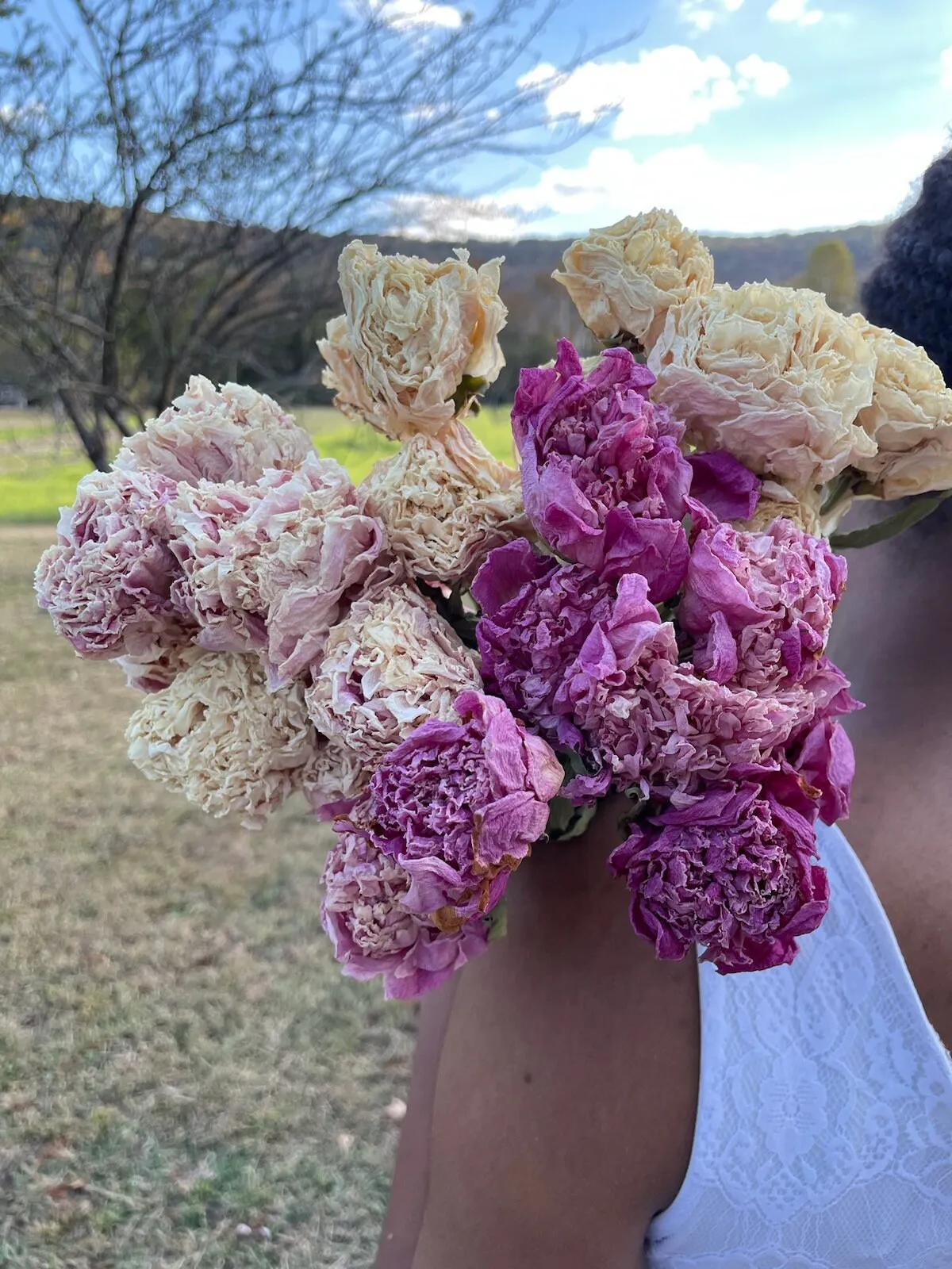 Dried peonies for weddings, dried peony bouquet, dried peony bunch, dried flowers for vase, rose substitute, peonies, pink peony