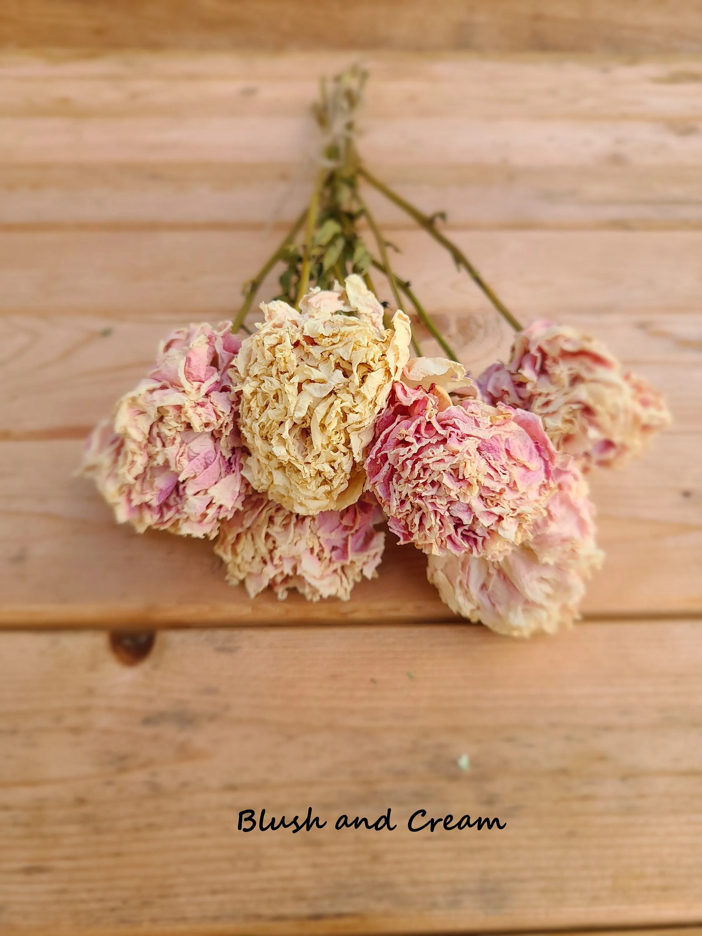 Dried peonies for weddings, dried peony bouquet, dried peony bunch, dried flowers for vase, rose substitute, peonies, pink peony