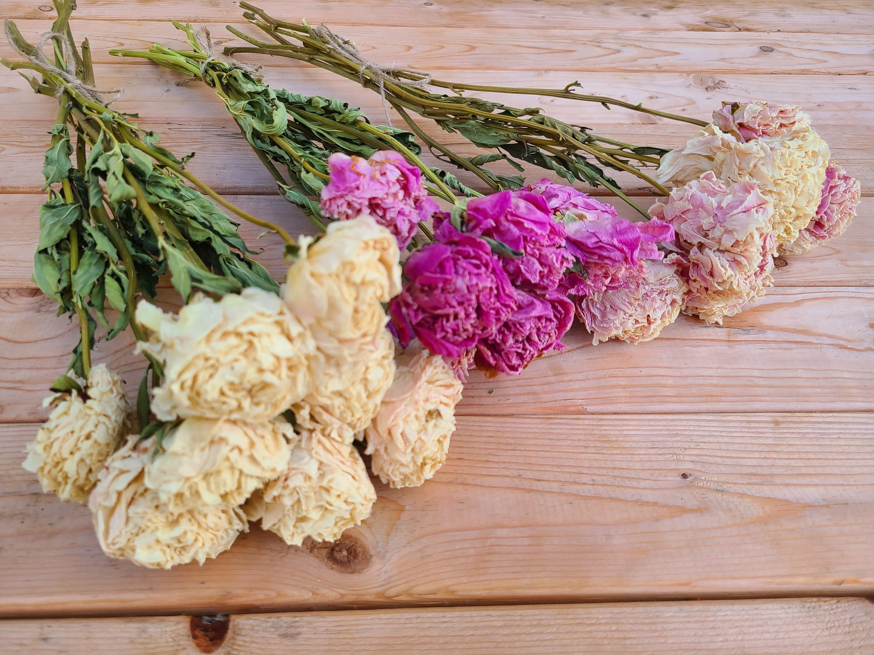 Dried peonies for weddings, dried peony bouquet, dried peony bunch, dried flowers for vase, rose substitute, peonies, pink peony