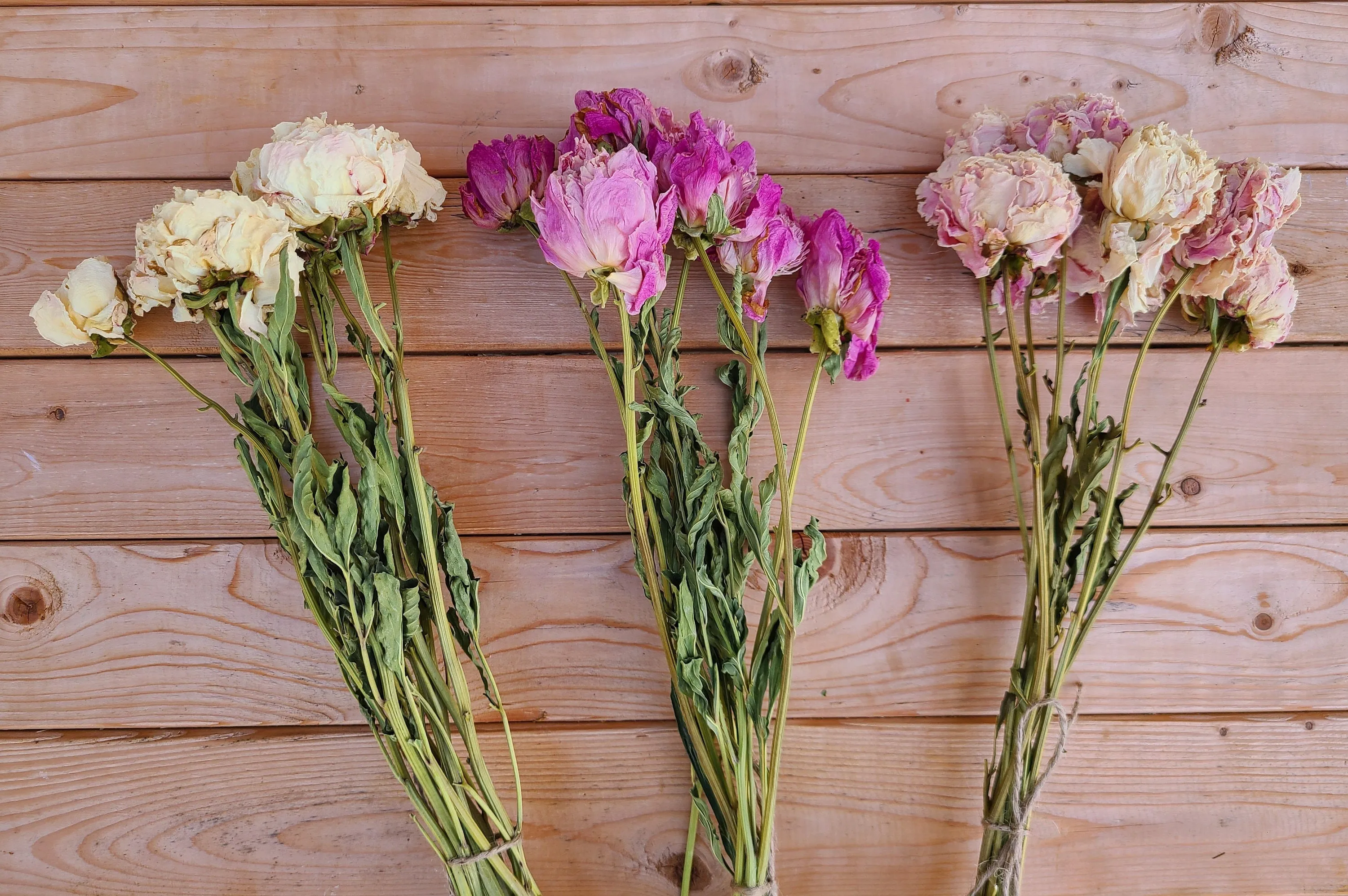 Dried peonies for weddings, dried peony bouquet, dried peony bunch, dried flowers for vase, rose substitute, peonies, pink peony